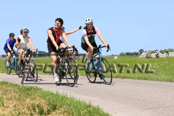 F12369.jpg